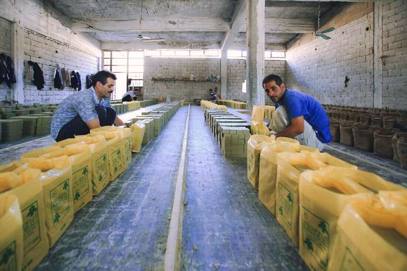 Dos operarios trabajando entre filas de bolsas en una planta